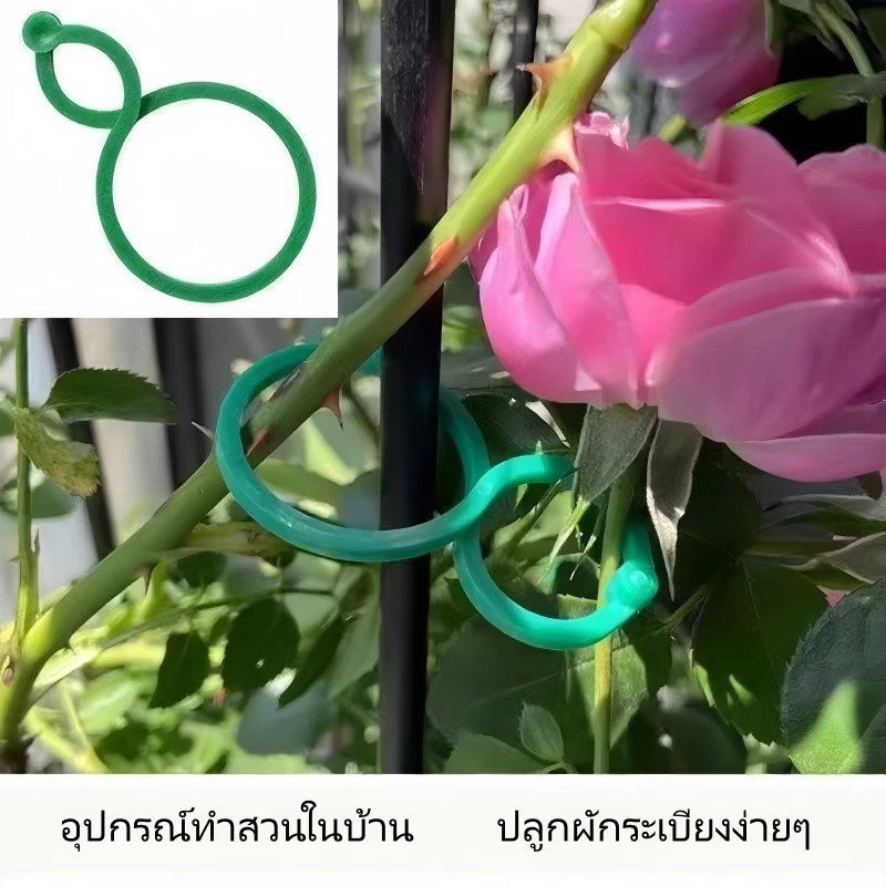 อุปกรณ์ทำสวน คลิปยึดต้นไม้เลื้อย 300 ชิ้น ตัวหนีบกิ่งแบบ 8 ใช้งานง่าย สำหรับปลูกผักในบ้าน