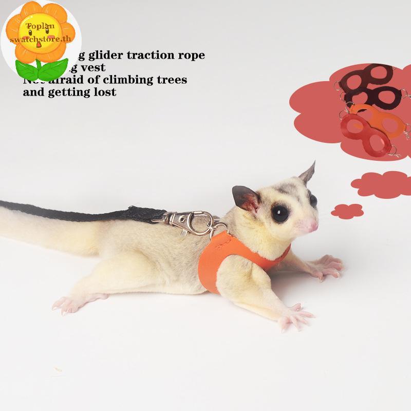 Toplan 4 ชิ้นสัตว์เลี้ยงขนาดเล็กสายรัดหน้าอกหนูแฮมสเตอร์กระรอก Leash Anti Bite Traction เชือก Sugar Glider Windproof พิเศษ Anti Lost เชือก TH