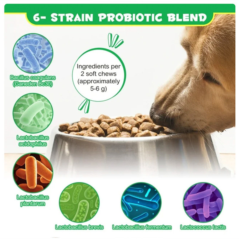 OEM Pet Digestive Enzyme โปรไบโอติก อาหารเสริมเพื่อสุขภาพ แมวสุนัข วิตามินเม็ดอ่อน เม็ดเคี้ยว 3.19