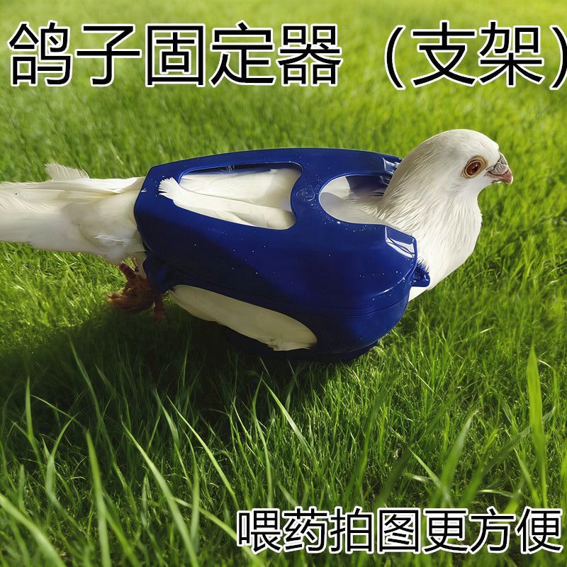 Pigeon Fixing Frame Believe Pigeon Supplies Pigeon Fixing Frame Fixer Pigeon Fixing Box Feeding Fixi