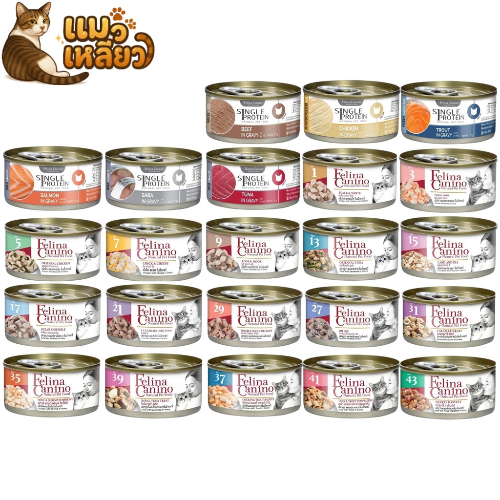 Felina Canino Single Protein อาหารเปียกแมว เนื้อเน้นๆ ไม่เติมเกลือ เปียกแมว ขนาด 70 กรัม