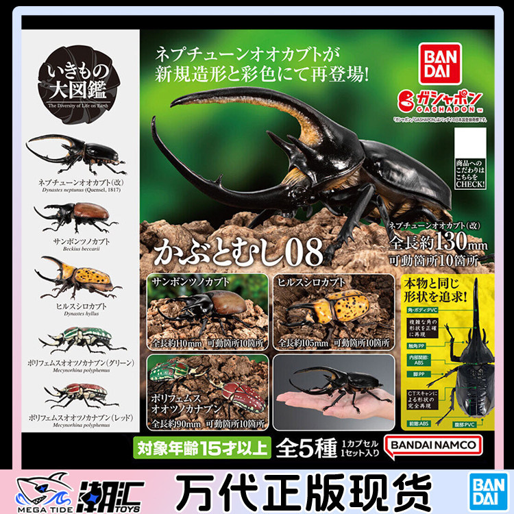 พร้อมสต็อก Bandai Gashapon Biological Big Illustrated Book Beetle 08 Poseidon Big Beetle เม็กซิกัน W