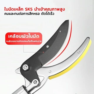 【รับประกันคุณภาพ 5 ปี】กรรไกรตัดกิ่ง ยืดไสลด์ 1.8-4M ตัดกิ่งไม้เร็ว กรรไกรตัดหนีบผลไม้ด้ามยาว กรรไกรเก็บผลไม้ กรรไกรตัดกิ