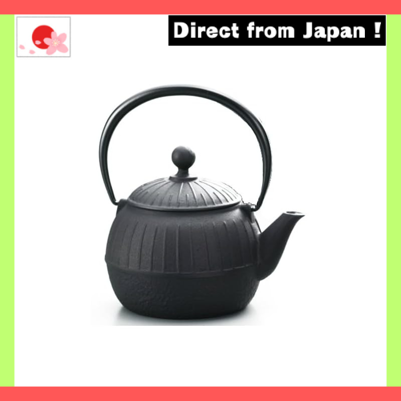 Nanbu Seieido Kyusu Chikusa Black【Japan Original】