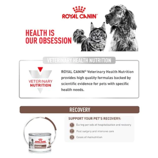 Royal Canin Recovery อาหารเปียกประกอบการรักษา สัตว์ป่วย หรือพักฟื้นหลังผ่าตัด กระป๋อง 195g