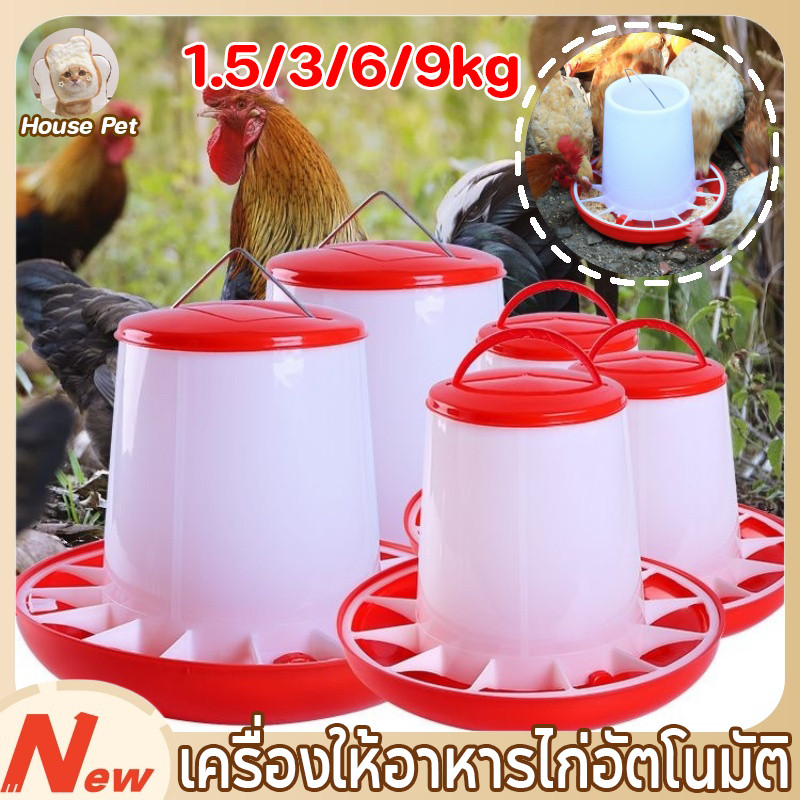 New ถังให้อาหารไก่ เครื่องให้อาหารไก่อัตโนมัติ ถังให้อาหารไก่อัตโนมัติ ประหยัดอาหาร รุ่นประหยัด