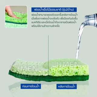 ฟองน้ำล้างจานเยื่อไม้ขัด2ด้าน แบบติดสก๊อตไบร์ท ล้างจานชามไม่เป็นรอยขัดคราบน้ำมัน แผ่นขัดเยื่อฝ้าย ใยขัด สก็อตไบร์ท ครัว