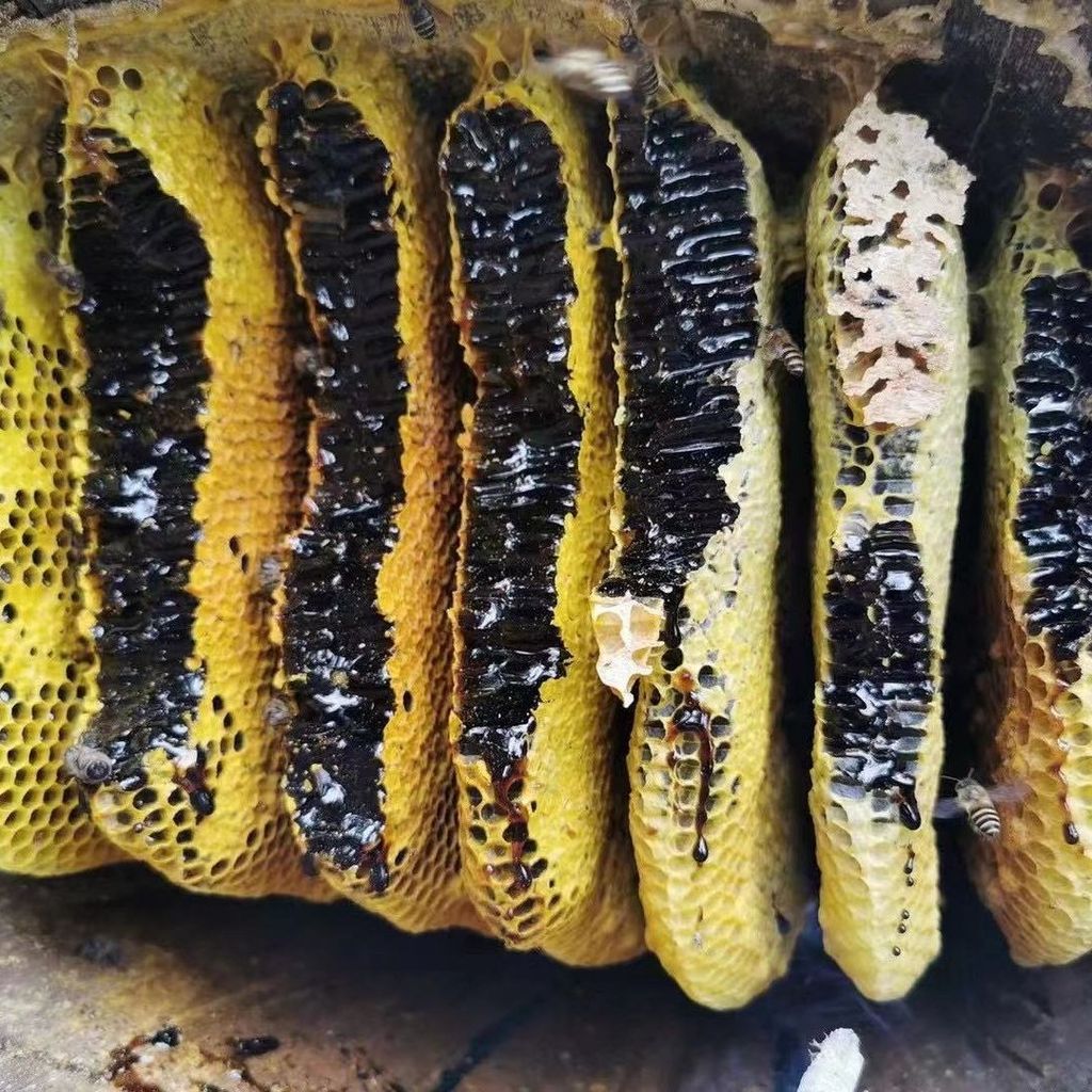 Yunnnan Black Honey Pure Rice Ball Nectar Alpine Black Honey Wild Soil Honey Honey Honey Honeycomb H