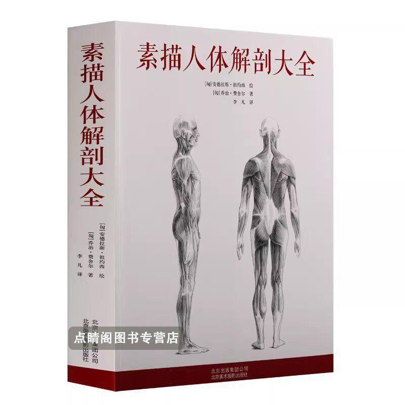现货热卖素描人体解剖大全 素描人体结构图谱绘画临摹教材书籍素描艺用人体解剖学人体结构学画人体造型解构人体教学艺用人体解剖书籍Complete Guide to Figure Drawing Anato