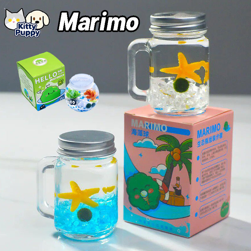 【NEW】มอสบอล มาริโมะ Marimo เซ็ทพร้อมขวดแก้ว เหมาะสำหรับให้เป็นของขวัญสำหรับคนที่รัก
