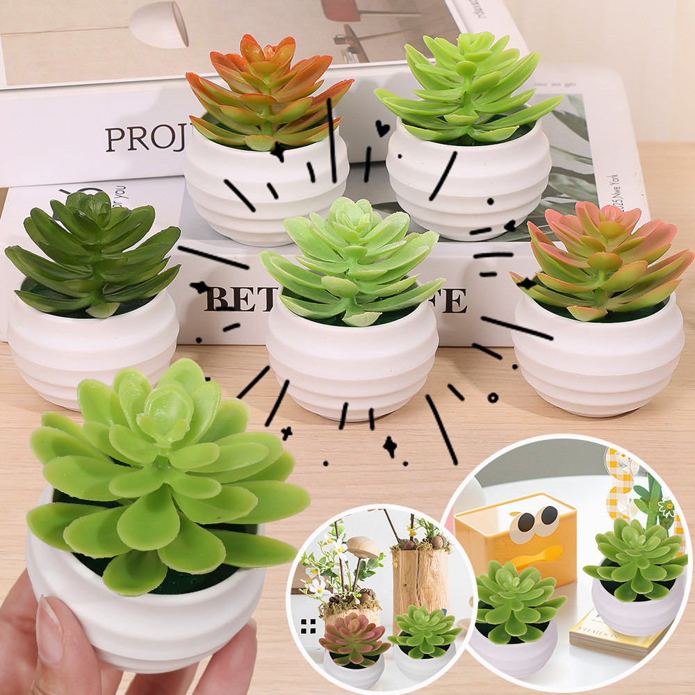 มินิเนื้อบอนไซ Iandscape ประดิษฐ์ Succulent พืชสีเขียวพลาสติกสําหรับตกแต่งโต๊ะ Succulents พืชต้นไม้ขนาดเล็ก