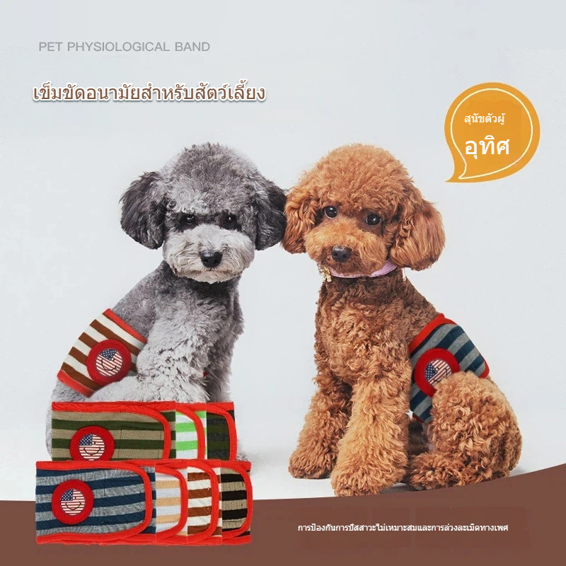 เข็มขัดสรีรวิทยาสุนัข Anti-Harassment Restraint Polite กางเกงสรีรวิทยาป้องกันปัสสาวะผ้าอ้อมสัตว์เลี้