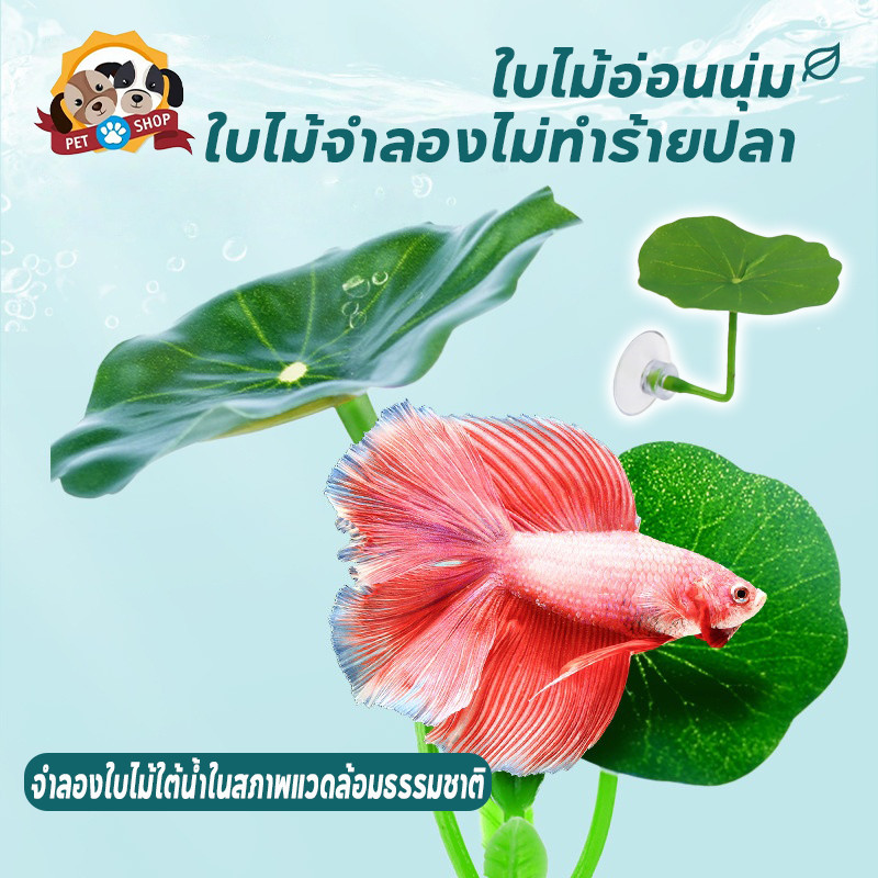 ใบไม้ปลอม ใบบัวจำลอง แต่งตู้ปลา ปล่อยให้ปลาได้พัก การวางไข่ หญ้าจำลอง ทำให้ตู้ปลาสวยขึ้น