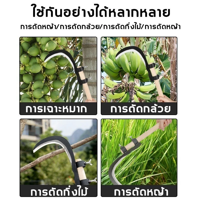 เคียวเก็บผลไม้สูง 85 ซม. เหล็กแมงกานีส thumbnail 9