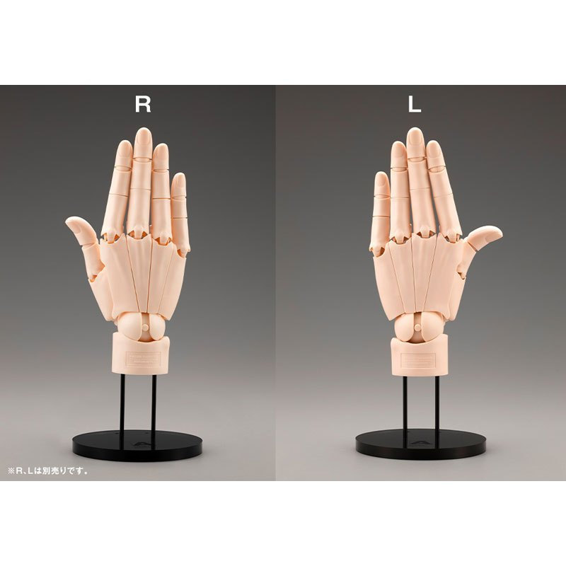 ( ✨ PRE-ORDER)ARTIST SUPPORT ITEM Takahiro Kagami HAND MODEL/R -PALE ORANGE- Action Figure ของแท้
