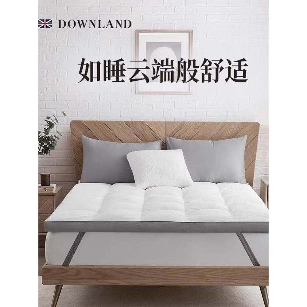 Clearance British Classical Composite Goose Feather Cushion Anti-Mattress Double