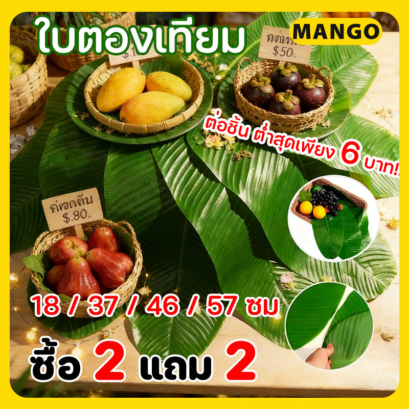 【2 แถม 2】ใบตองปลอม S/M/L ใบตองพลาสติก แผ่นปูใบตองจำลอง ใบตองเสมือนจริง ใบตองเทียม ใบกล้วยจำลอง ราคาถูก