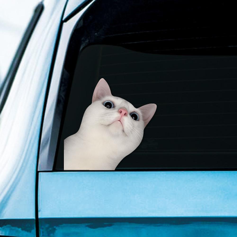 Funky Cat Expression สติกเกอร์ Diy Decals สําหรับแล็ปท็อปกระเป๋าเดินทางขวดน้ํา Journal S2i0