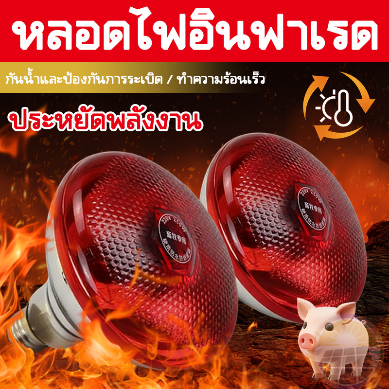 หลอดไฟอินฟาเรด หลอดไฟกกสัตว์ หลอดไฟให้ความอบอุ่น รุ่นเรียบ ไฟกกหมู ไฟกกไก่ ไฟกกลูกไก่ ไฟให้ความร้อน ไฟกกลูกหมู ไฟอินฟรา