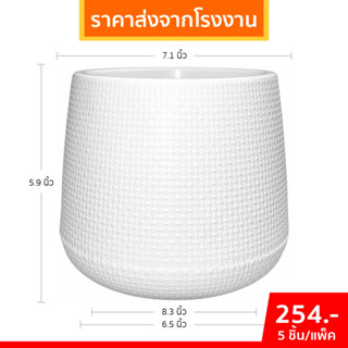 กระถาง กระถางต้นไม้ มินิมอล เบลล่า ขนาด 6 7 8 นิ้ว สีดำ สีขา…