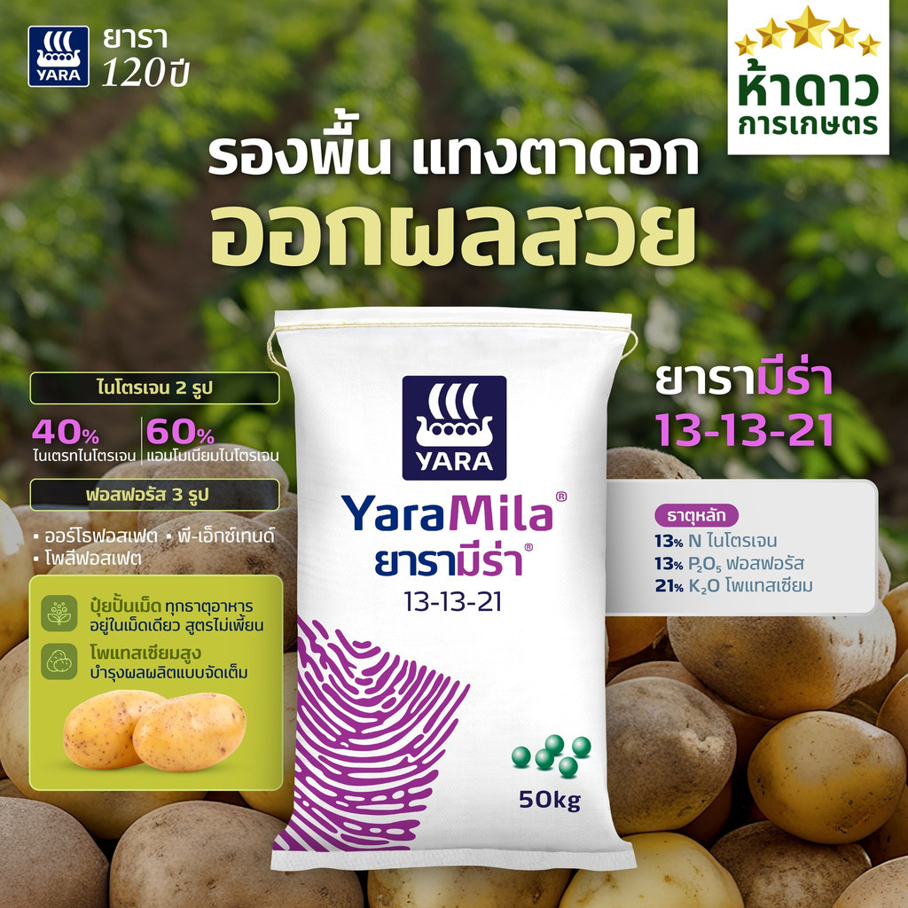 (ยกกระสอบ50กก.) ปุ๋ยยาร่ามีร่า 13-13-21 ปุ๋ยหวาน แทงตาดอก ออกผลสวย เร่งผลหวานฉ่ำ ช่วยเพิ่มน้ำหนักในช่วงบำรุงผลเล็ก