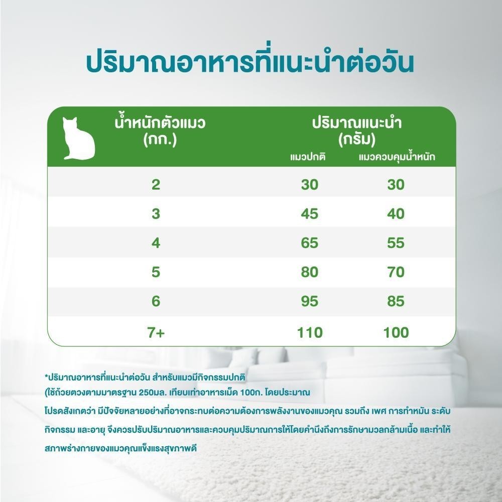 รูปภาพ 7