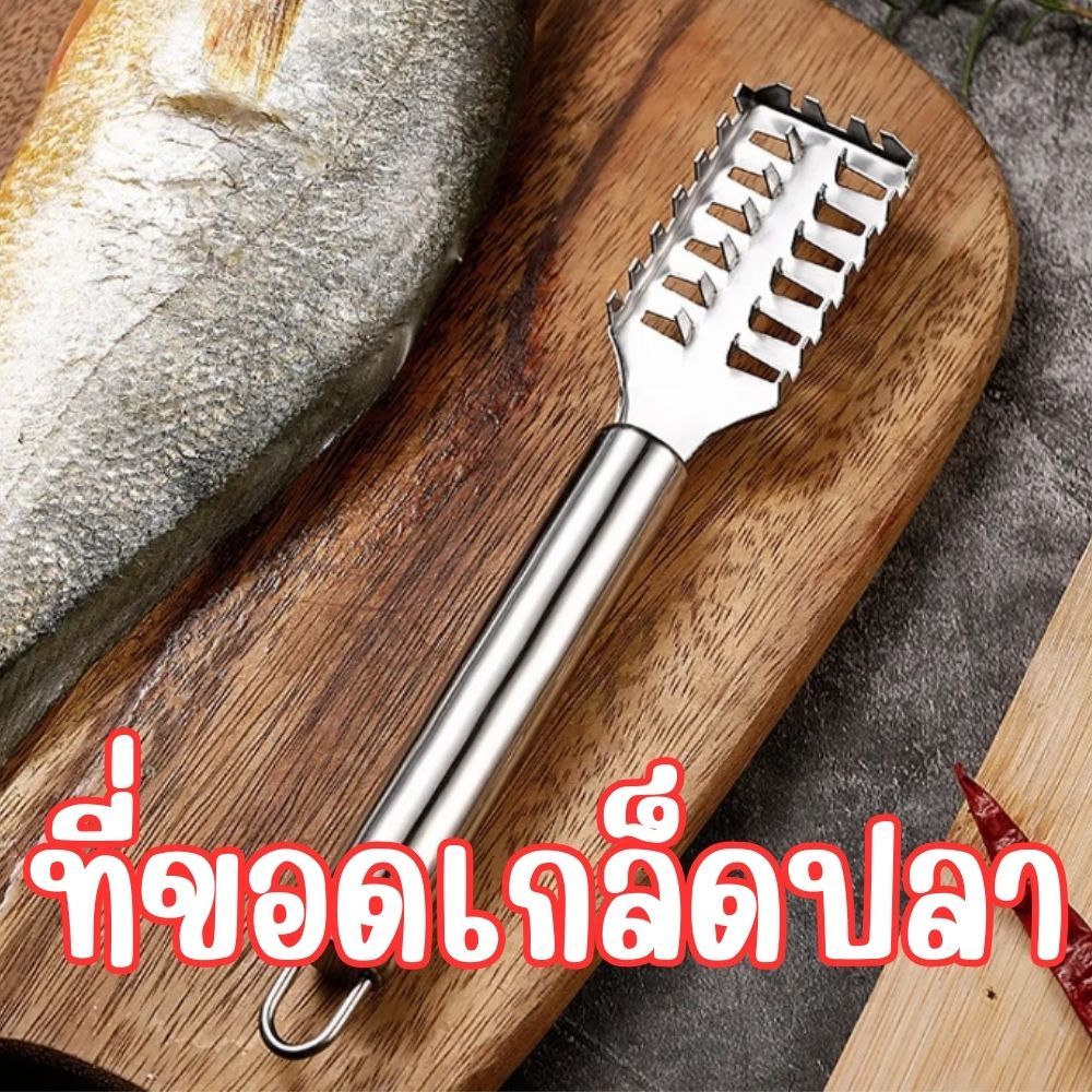 ที่ขอดเกล็ดปลา มีด้ามจับถนัดมือ ที่ขูดเกล็ดปลา สแตนเลส ไม่เกิดสนิมอุปกรณ์กำจัดเกร็ดปลา พร้อมช่องเก็บเกล็ดปลาในตัว  G0185 – โปรปัง