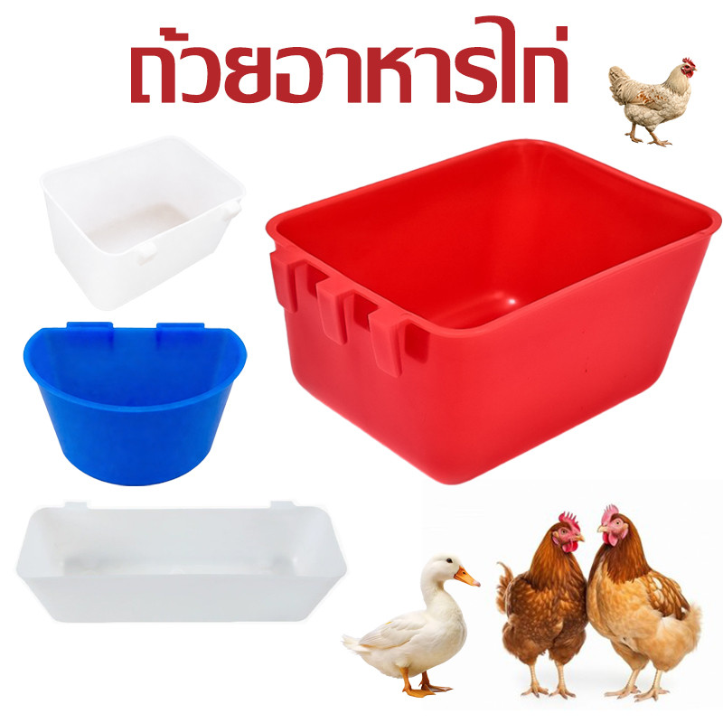 ถ้วยน้ำนก ถ้วยอาหารนก อุปกรณ์แต่งกรง ชามอาหาร สำหรับ นก กระต่าย ติดกรงได้ อย่างดี อุปกรณ์สัตว์เลี้ยง