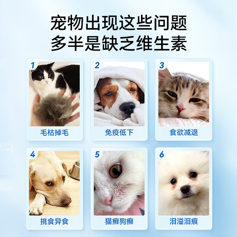 Hippie Dog วิตามินเม็ดแมวอาหารเสริมสําหรับสัตว์เลี้ยง b12 Multivitamin เม็ด Hippie dog complex dog ว