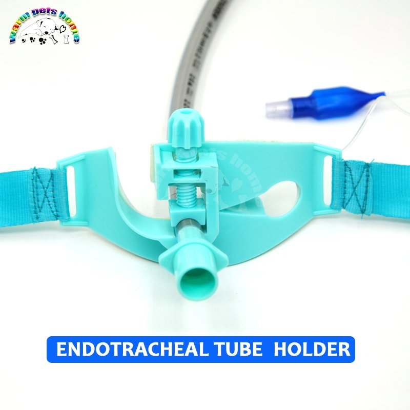 Disposable Endotracheal Tube Holder, Endotracheal Tube Fixer, Veterinary consumables