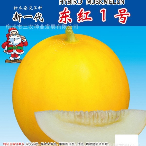 现货热卖五洲牌东红1号翠蜜甜瓜蜜瓜白砂糖瓜高产四季水果盆栽蔬菜种子批Wuzhou Brand Donghong No.1 Cui Mi Melon Melon Melon White Sand2026