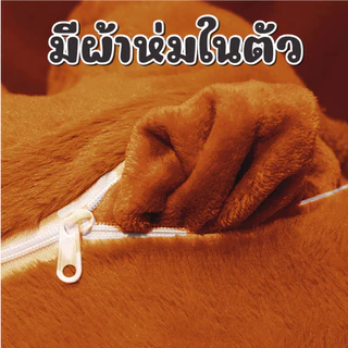 หมอนผ้าห่ม ตุ๊กตาน่ารัก หมอน 2-in-1 เป็นทั้งหมอนกอดและผ้าห่มในตัว ผ้าห่มขนาด 100×160 ซม. ใช้พักผ่อนสบาย มี 4 ลายน่ารัก