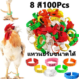 ห่วงขาไก่ ห่วงขาไก่ชน ห่วงข้อเท้าไก่ ปรับขนาดห่วงได้ สําหรับ…