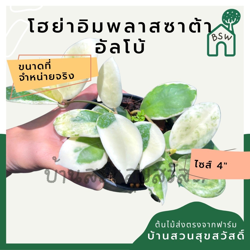 มุมมอง 2