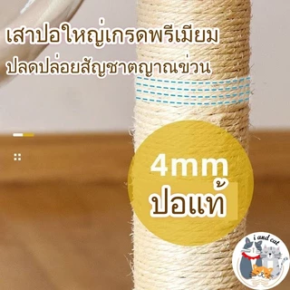 【พร้อมส่ง】คอนโดแมวไม้ มินิมอล สูง120ซม แคปซูลใส ปีนเล่น ลับเล็บ ที่นอนได้ แถมของเล่น