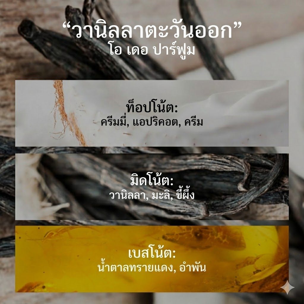 🌟 น้ำหอม Gazipoo กลิ่น Vanilla & Cream (20ml) หอมหวานวนิลา ละมุนเหมือนขนม สายคาเฟ่ต้องมี! ติดทน เย้ายวน - รูปที่ 3