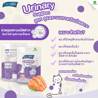 CAT n joy Crispy Bite Functional แคทเอ็นจอย ขนมแมวกรุบกรอบ ขนมแมวทานเล่น สำหรับแมวทุกวัย ขนาด 50g