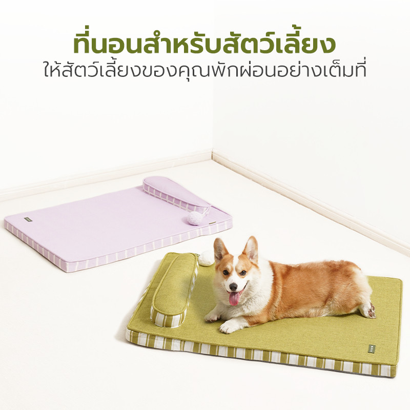 เบาะนอนสัตว์เลี้ยง ที่นอนสุนัข ที่นอนแมว Pet bed ไม่ยุบง่าย พร้อมหมอนในตัว ระบายอากาศดี มีให้เลือก 2สี 2ขนาด Petus pet รูปที่ 8