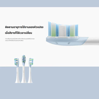 Xiaomi Oscillation Electric Toothbrush Replacement Heads (Clean) / (Soft) | แพ็ก 3 ชิ้น