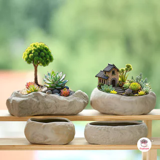 กระถางดินเผาลายก้อนหินธรรมชาติ แคคตัส กระบองเพชร ไม้อวบน้ำ Cactus&Succulent