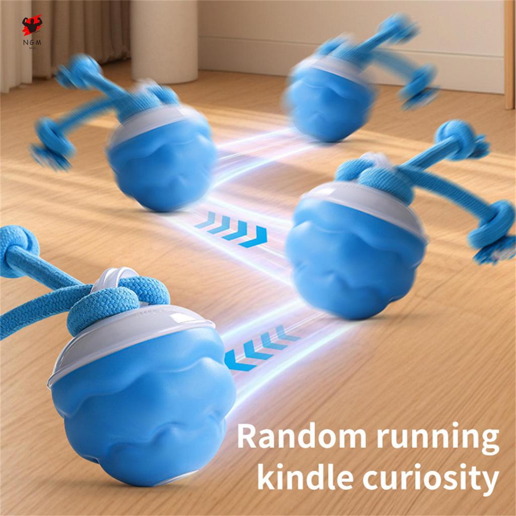 Power Tail Interactive Dog Ball ทําความสะอาดง่าย Self Moving Healthy Balls ของเล่น
 เหมาะสําหรับความ