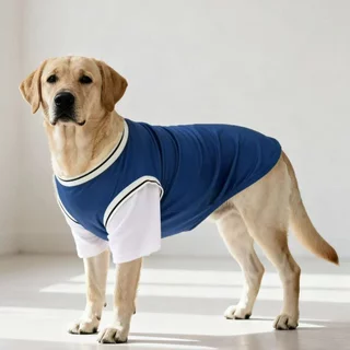 🇹🇭พร้อมส่ง🇹🇭 🐕🦮🐕 BIGSIZE เสื้อ หมาใหญ่ หมาอ้วน ลายแฟชั่น ผ้าใส่สบาย FOR สัตว์เลี้ยง สุนัขพันธุ์ใหญ่