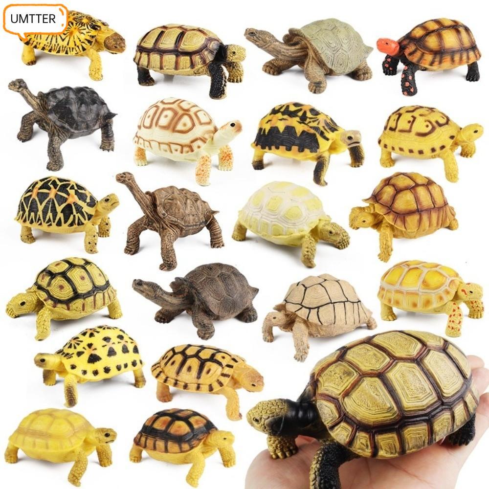 UMTTER ตุ๊กตาเต่า, PVC Model Figurines Star Turtle, สัตว์เลื้อยคลานสัตว์รายละเอียดประติมากรรมรูปสัตว