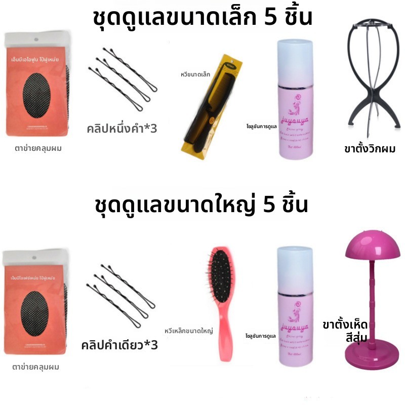 อุปกรณ์ดูแลวิกผม การดูแล ชุดห้าชิ้นบรรจุ 100มล การดูแล ของเหลวผู้ถือหวีคลิปผมสุทธิ