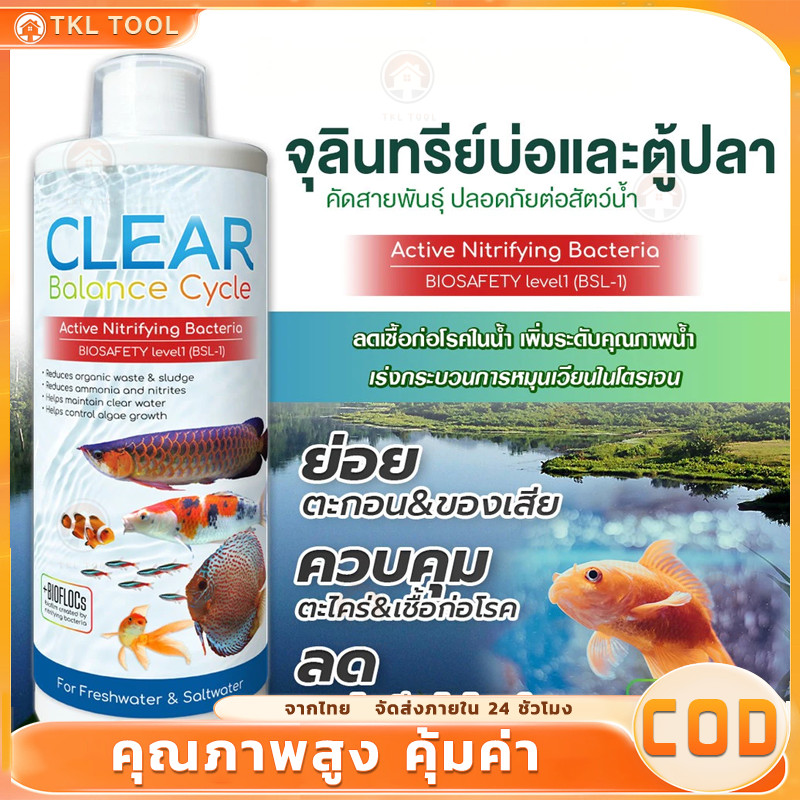 จุลินทรีย์ แบคทีเรีย ปรับสภาพน้ำใส บ่อปลา ตู้ปลา ย่อยของเสีย ลดกลิ่น คัดสายพันธุ์เฉพาะคุณภาพน้ำและสัตว์น้ำ Living Inside