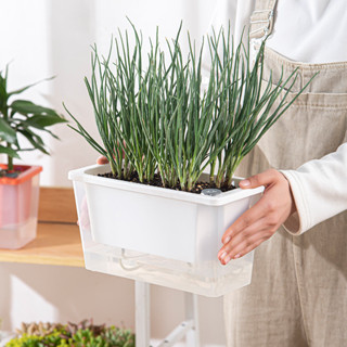 กระถางดอกไม้สองชั้น กระถางรดน้ำอัตโนมัติ ดูดซับน้ําอัตโนมัติ…