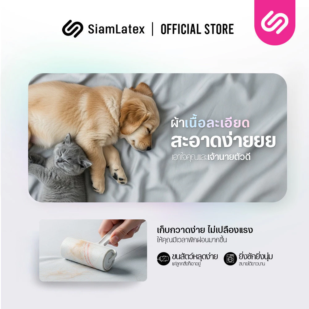 SiamLatex ชุดเครื่องนอน รุ่น Glada ผ้าปูที่นอน ปลอกหมอน ปลอกหมอนข้าง thumbnail 7