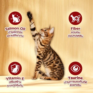 Ginno Real Meat Freeze Dried อาหารแมว ผสมมินิคิวบ์ ฟรีซดราย จากเนื้อสัตว์แท้ เม็ดแมว ขนาด 1 กิโลกรัม
