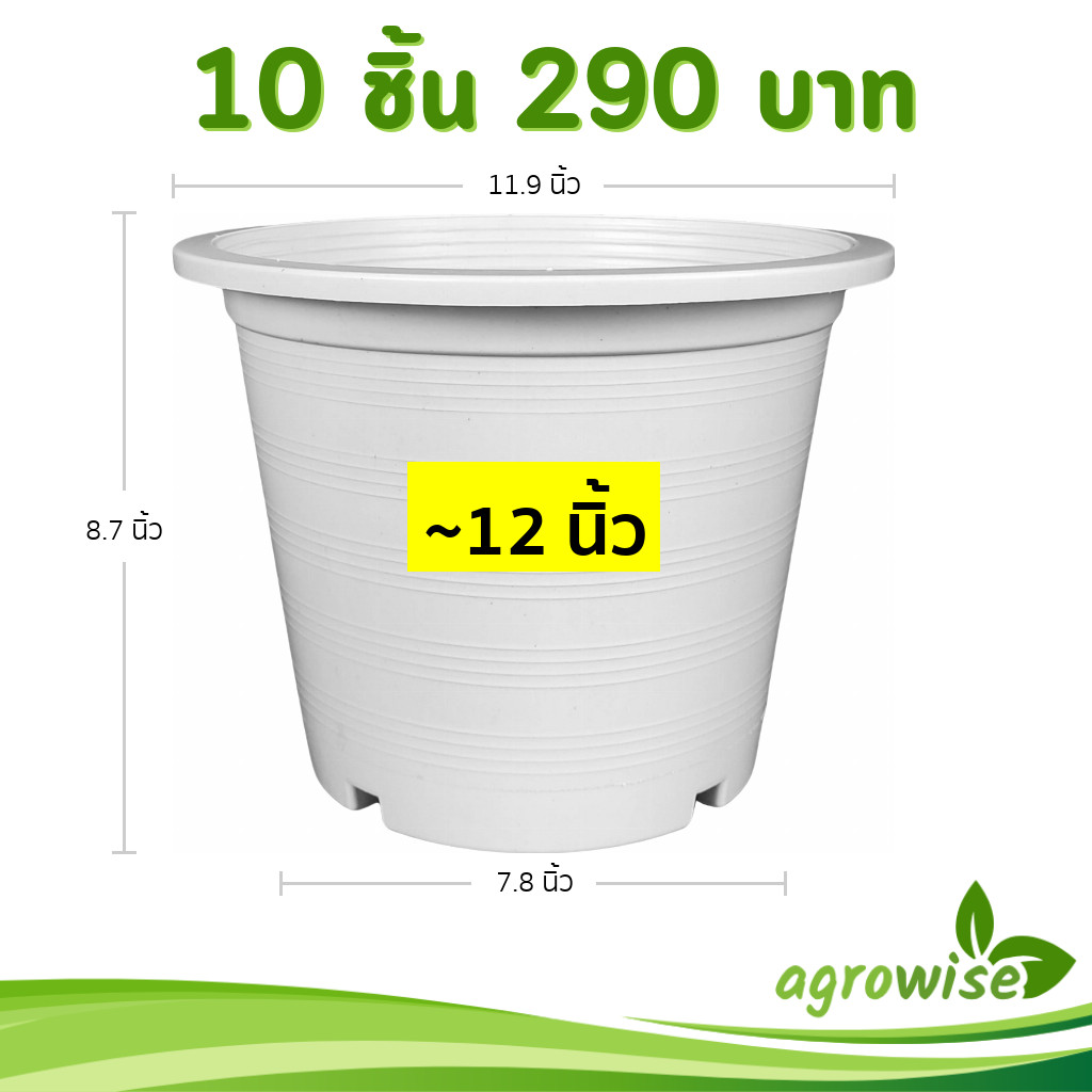 กระถาง กระถางต้นไม้ กระถางขาว เบอร์ 12 นิ้ว สีขาว 10 ใบ ชิ้น ยกมัด