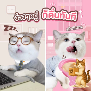 (ยกโหล 12 ซอง) Ginno Spoon ขนมแมวเลีย กินโนะ รูปแบบช้อนป้อน ป้อนง่าย ไม่เลอะมือ แมวเลีย ขนาด 40 กรัม